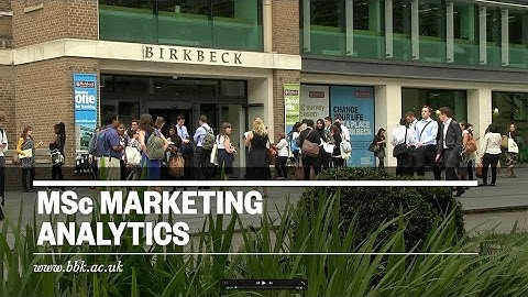 Top masters programs in marketing analytics and business analytics năm 2024