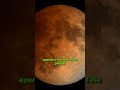 "Lua de sangue": eclipse lunar total poderá ser observado por bilhões de pessoas