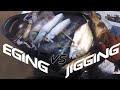 EGING VS JIGGING - KAYAK FISHING MALAYSIA