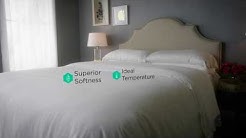 Cozy Earth | Premium Bamboo Bedding