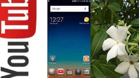 Cara Membuat Payload Http Injector Untuk Internet Gratis