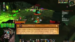 The Inconspicuous Bear - Heroic Fel-Lord Zakuun Guardian Guide
