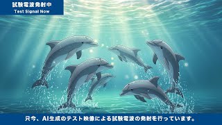 試験電波発射中