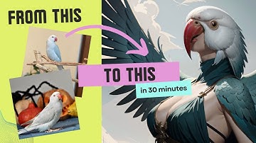 Train your own LORA model in 30 minutes LIKE A PRO!