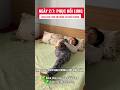 Ngày 2: GIẢM ĐAU LƯNG KHI ĐỨNG LÊN NGỒI XUỐNG#shortvideo #youtubeshorts #daulung #backpain #yogatips