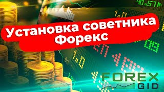 Установка и настройка советника Форекс на MT4