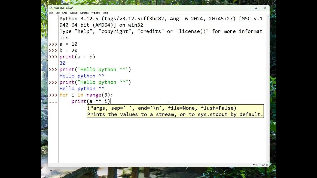 python IDLE 사용과 프로그래밍 예시1 - YouTube