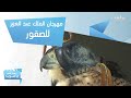 فعاليات مهرجان الملك عبد العزيز للصقور 