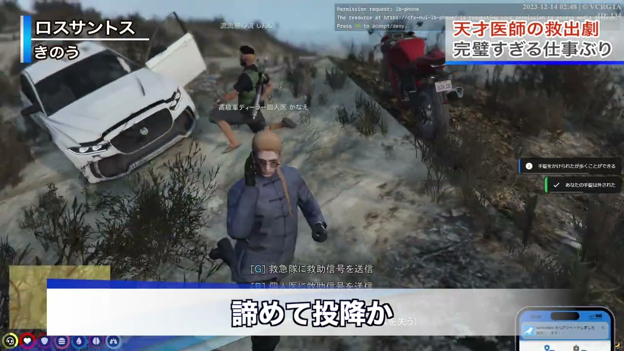 【VCRGTA】天才医師叶によるありえない救出劇