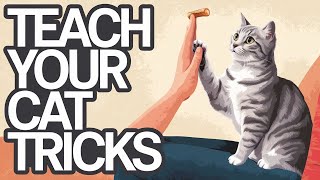 How to Train Your Cat to High Five: A Complete Training Guide