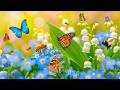 Fresh May - Buzzing Bees &amp; Fluttering Butterflies 🌸 Nature Comes Alive