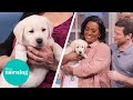 We Name the 8-Week-Old Puppy Joining Our Family! | This Morning