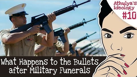 Most Brilliant Questions | Where do bullets go when guns are fired straight up into the air ?