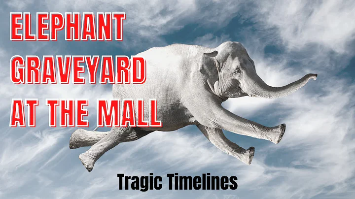 Elephant Graveyard at the Mall | A short documenta...