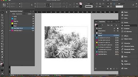 Separation Preview inDesign