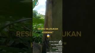 Ngintip Yang lagi mesum di kebun pisang