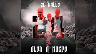 El Vallo ❌ LOS OK OK - Olor a Nuevo (Audio Oficial)