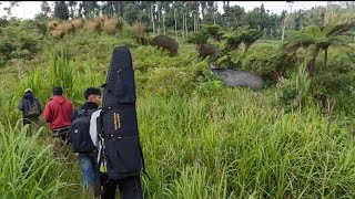 Jagur99, There's Already a Sighting on the Way #hunting #viralvideo #youtube_short_vidio