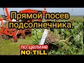 Посев подсолнечника.NO-TILL .По целине,что получится?!1.05.21.