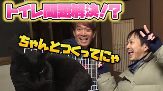 【DIY】猫砂散乱防止君を自作してみた