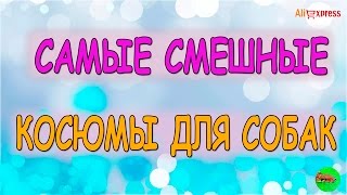 СМЕШНЫЕ КОСТЮМЫ ДЛЯ СОБАК С ALIEXPRESS СМЕШНЫЕ КОСТЮМЫ ДЛЯ СОБАК С ALIEXPRESS