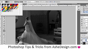 Ashe Design Light Cast Video