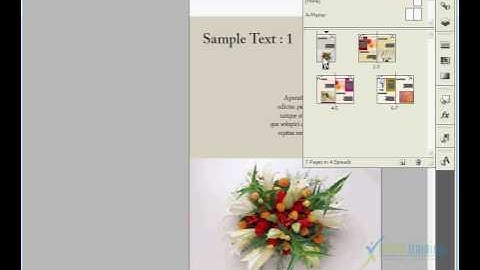 Adobe Indesign CS4 (TAMIL) MANAGING PAGES==Duplicate and Delete-003.flv