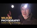 OWL PHOTOGRAPHY | Photographing Owls after Dark & Tragopan V6 Hide Review Part 2