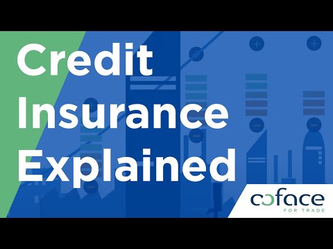 Credit Insurance Explained - A Coface Film