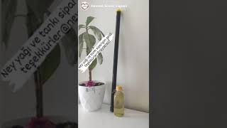 Ney Bakımları Siparişler Ve Memnuniyetler 😇 Ney Yağı Ve Ney Yağlama Tankları 🥳 Resimi