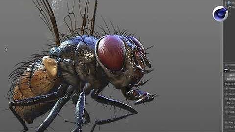 Tip - 164: How to activate and handle Depth Of Field in the Viewport