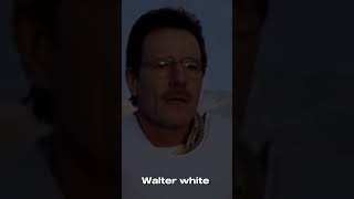 Walter white transformation