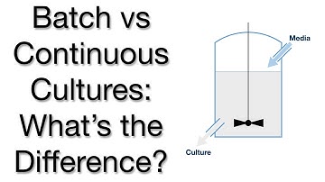 Batch vs Continuous Cultures: Growing Cells in the Lab Explained