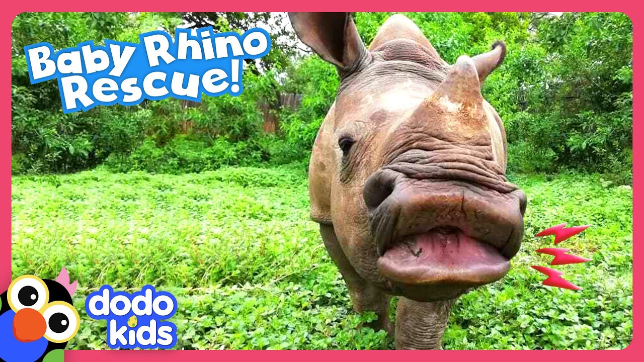 Rhino Rescue