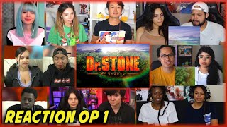 Dr. Stone Opening 1 REACTION ドクターストーン1反応 - 外国人の反応 / BYN