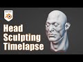 Sculpting muscular male head in Blender | Timelapse