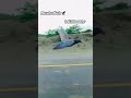 high speed bike train kabootar #song #song