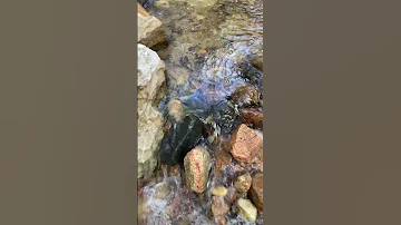 Https Www Youtube Com Live IwQHx0shg6o Si Gu0lyeulpWxQDg5J Enjoy The Magic Of The Water 