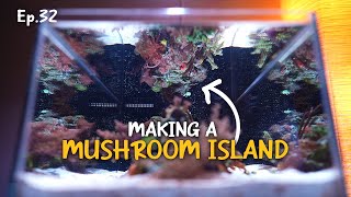 New technique to attach soft coral like mushroom? | Ep.32 Nano Reef Competition