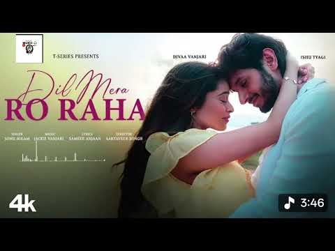 Sonu Nigam, Jackie Vanjari, Sameer Anjaan - Dil Mera Ro Raha