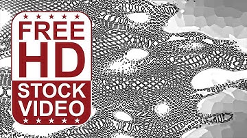 Free Stock Videos - Abstract morphing black and white shapes