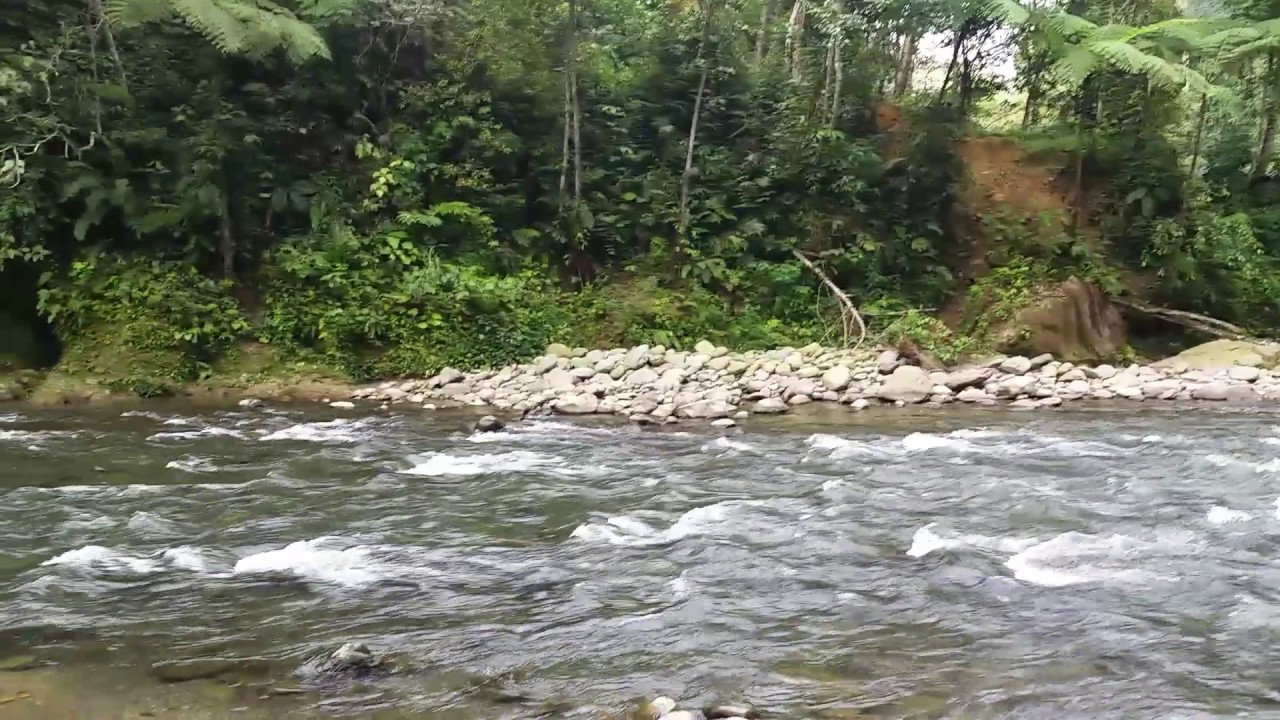 camera iphone 8 plus apk View of the Bahorok River from the Two-day Trek Jungle Campsite, Gunung Leuser Jungle, Indonesia