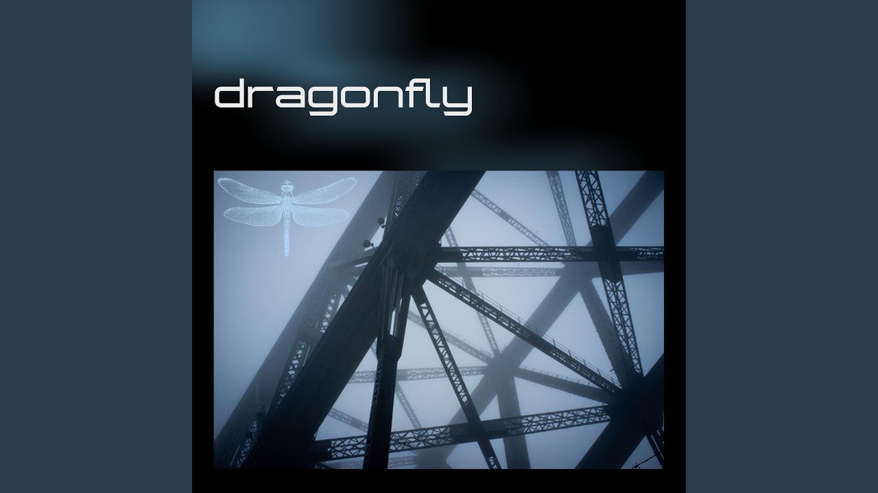 Guarda dragonfly su YouTube Guarda dragonfly su YouTube