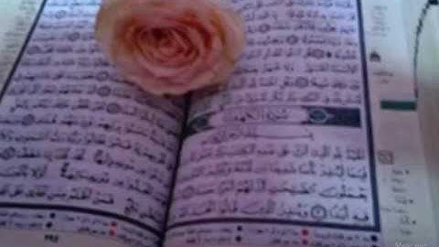 سورة  الكافرون  بصوت الشيخ محمود الحصري
