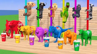 Choose Right Drink with Elephant Cow Gorilla Lion Buffalo T-Rex Wild Animals Games