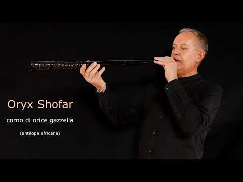 Video: Nella Bibbia shofar?