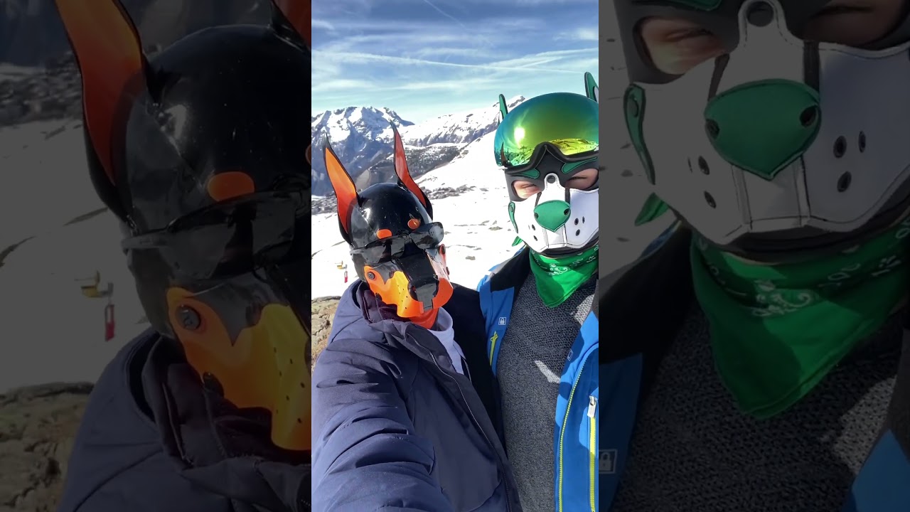 Puppies in winter vacation 