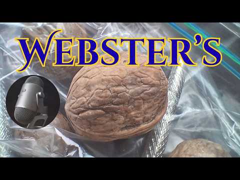 Wild Whisper Wednesday With Webster's | Episode 3
