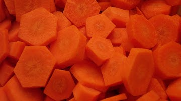 Carrot slices sorted by Spray optical sorting machine | RAYTEC VISION SpA