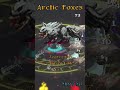 Meet the Arctic Foxes!